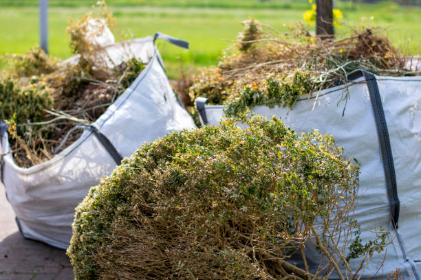 Demolition Debris Removal in Claryville, KY